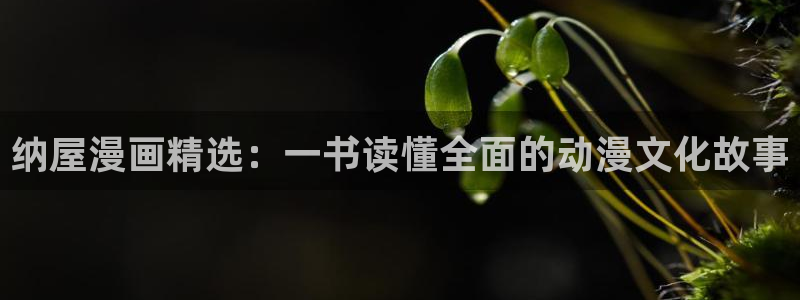 韩漫在线观看动漫